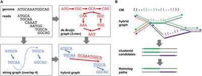 DRAGoM: Classification and Quantification of Noncoding RNA in Metagenomic Data